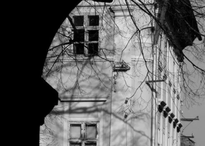 Old Town Luxury Segment 公寓 布拉索夫